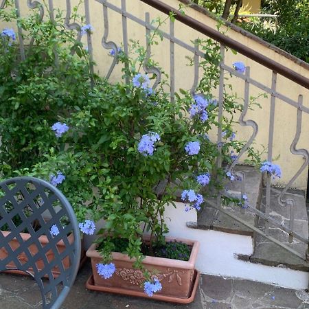דסנזאנו דל גארדה B&B Margherita חדר תמונה